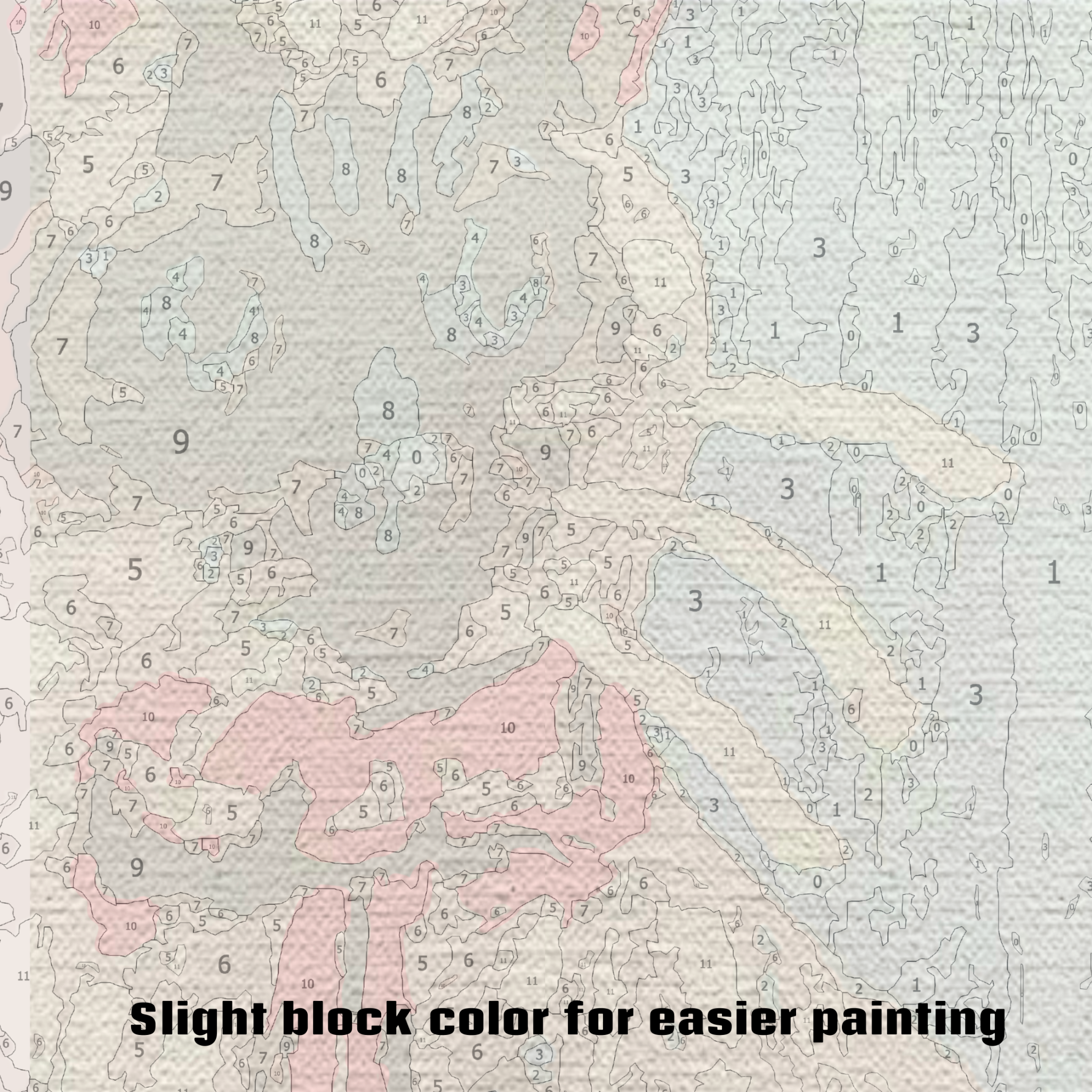 Cat With Bow - Paint by Numbers Kit