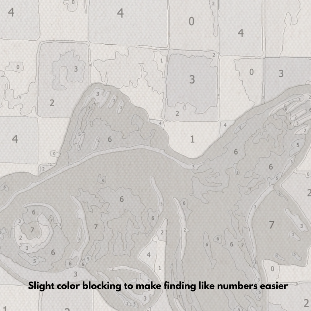 Black Moor Goldfish - Paint by Numbers Kit