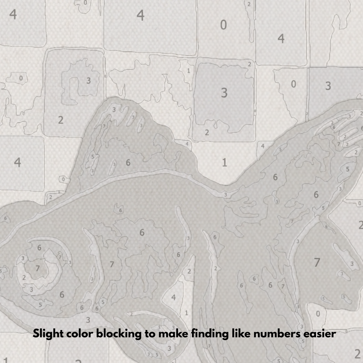 Black Moor Goldfish - Paint by Numbers Kit