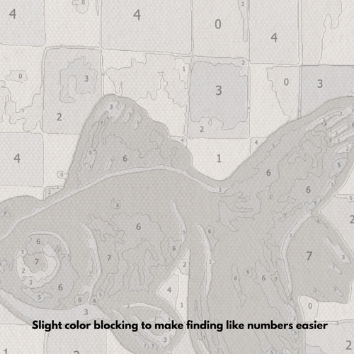 Black Moor Goldfish - Paint by Numbers Kit