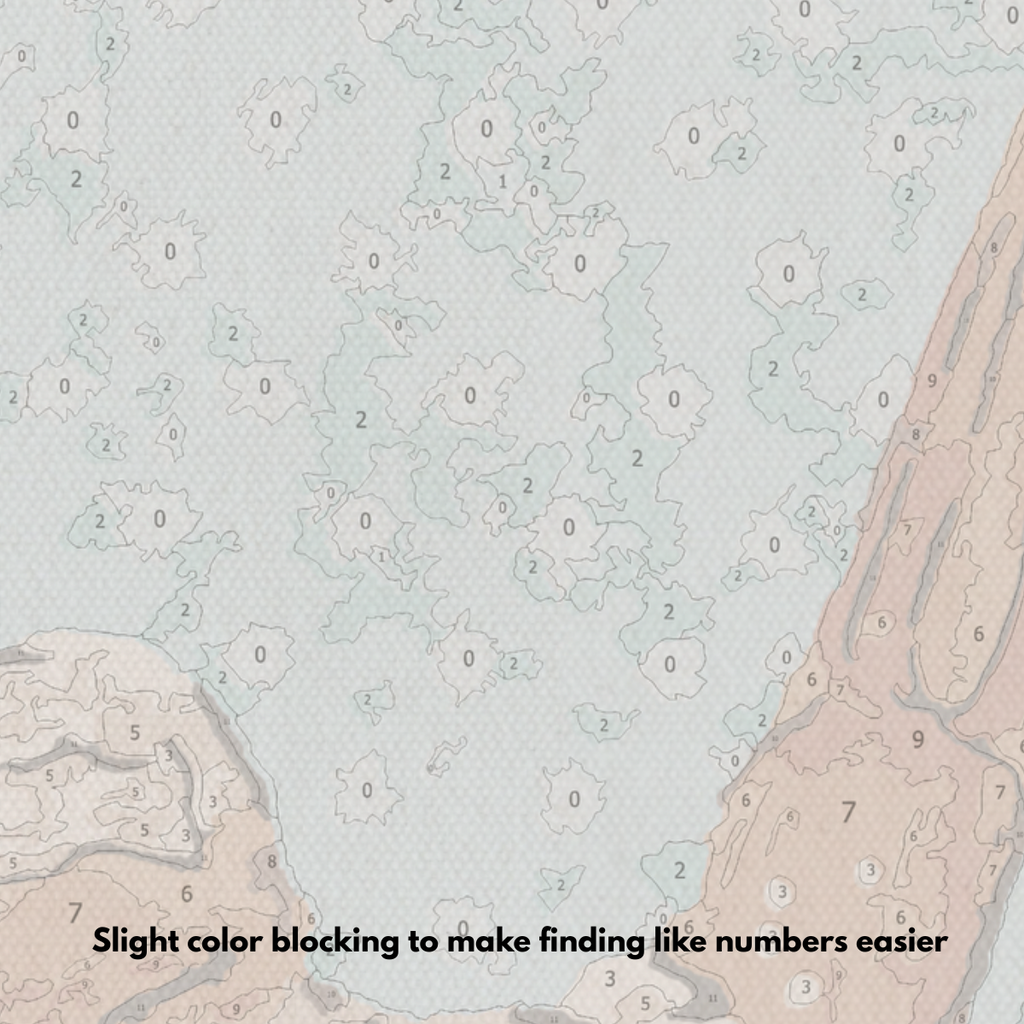 Shrimp - Paint by Numbers Kit
