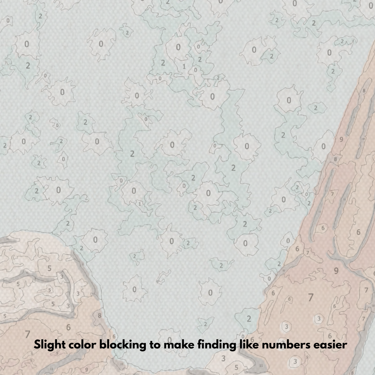 Shrimp - Paint by Numbers Kit