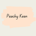 Miss Lillian's NO WAX Chock Paint - Peachy Keen