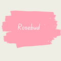 Miss Lillian's NO WAX Chock Paint - Rosebud